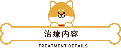 治療内容